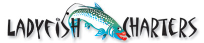 Ladyfish Charters Tampa Bay and Boca Grande