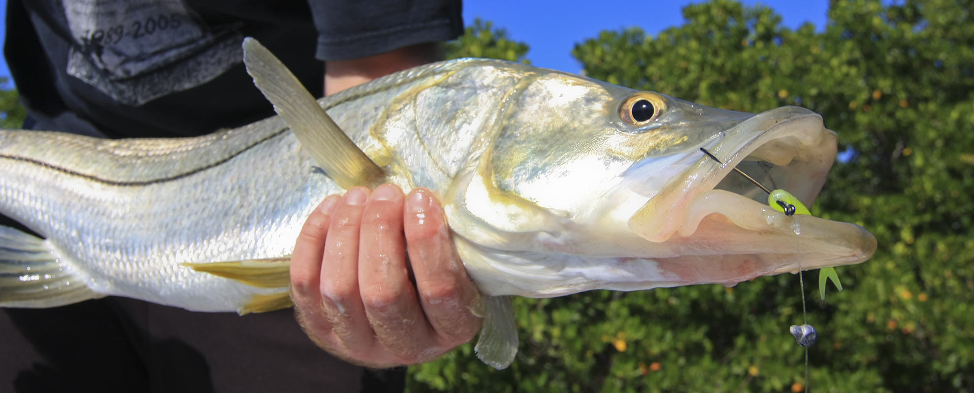 Tampa Bay Fishing charters with Captain Lori Deaton